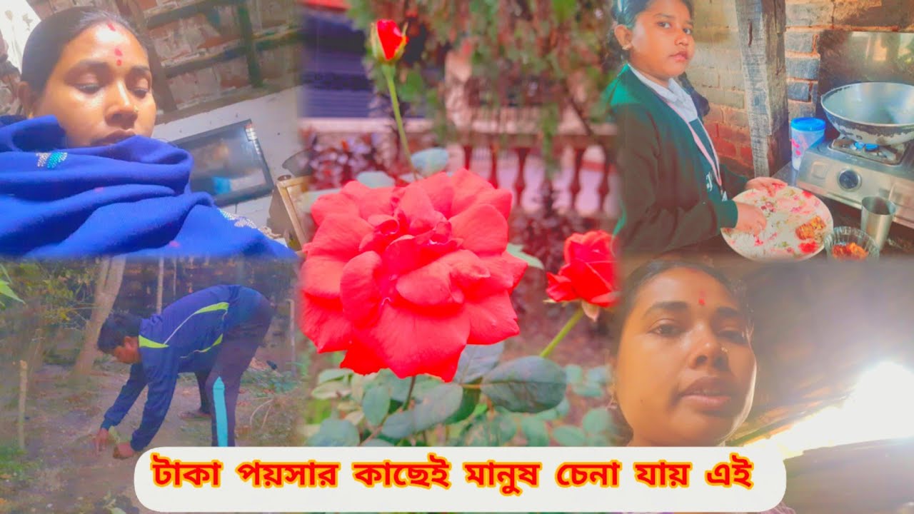 MJ Family vlog। ঘি থাকলে মেয়ের আর কিছুই লাগেনা। টাকাই সব টাকার কাছে মানুষ চেনা বড় কঠিন। 