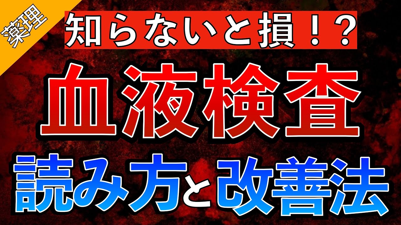【知らないと損！？】血液検査の読み方をわかりやすく解説！〜AST/ALT/γGTP/Alb/尿タンパク/Cre〜