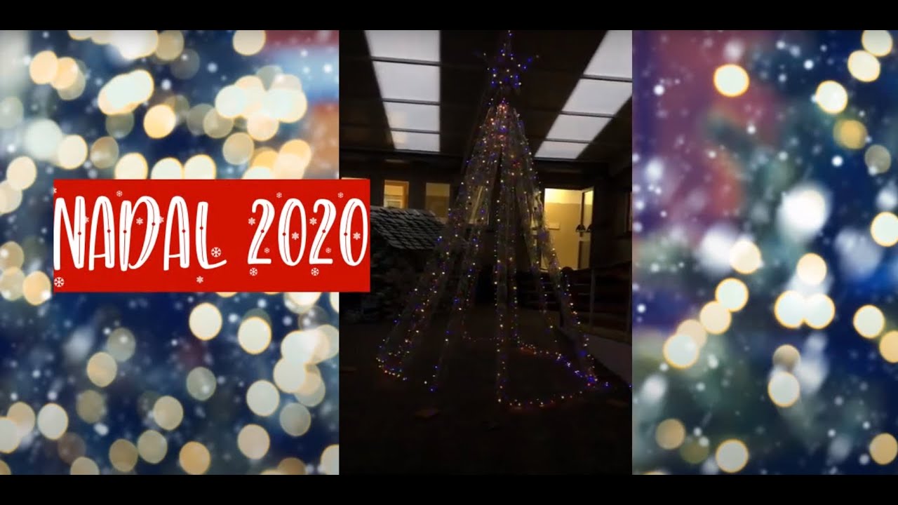 PANXOLIÑA 2020