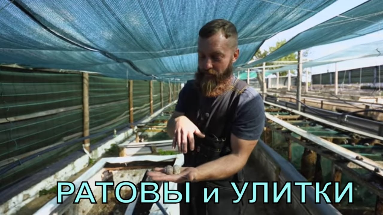 Сломать стереотипы. Владимир и Виктория Ратовы. Улиточная ферма 