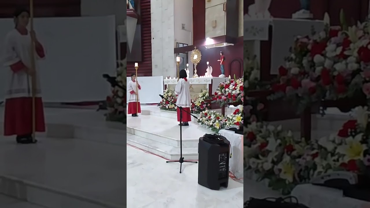 canto y alabanza en el santísimo sacramento del altar en la parroquia de nuestra señora del Carmen 