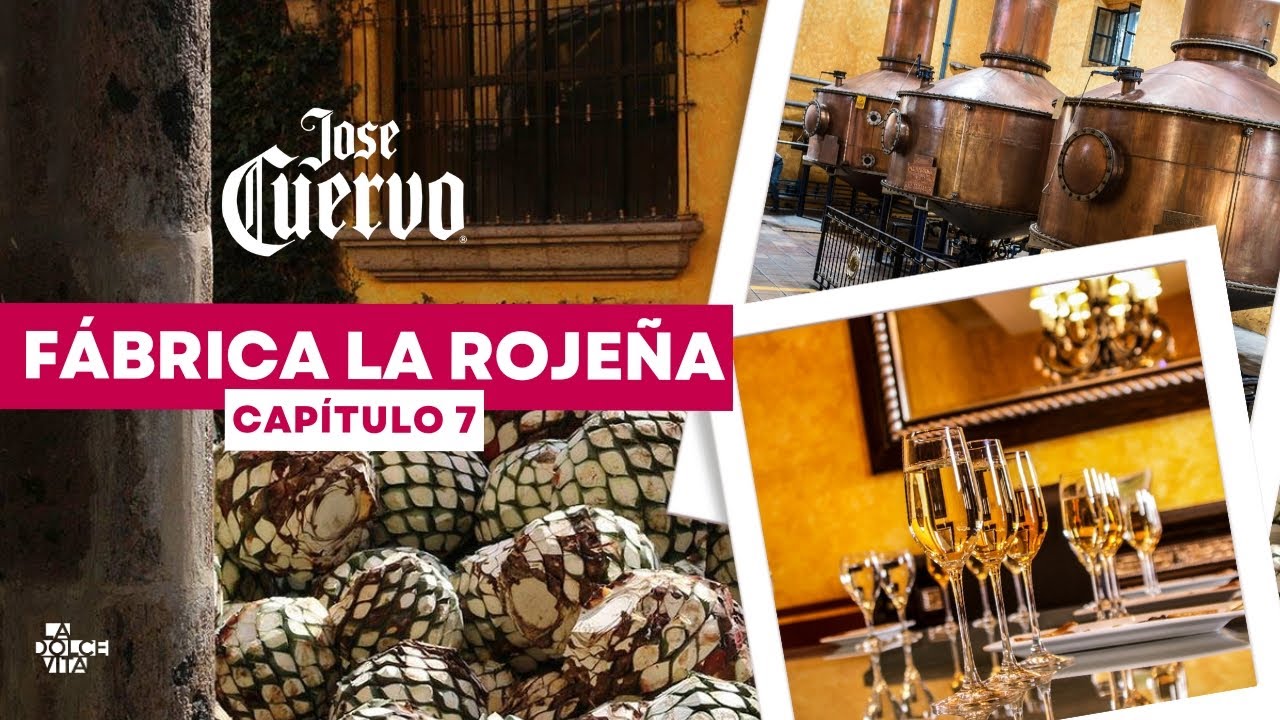 ¡ACCESO EXCLUSIVO a la Fábrica de JOSE CUERVO! 🌵🔥 Descubre los Secretos del TEQUILA 🥃💚
