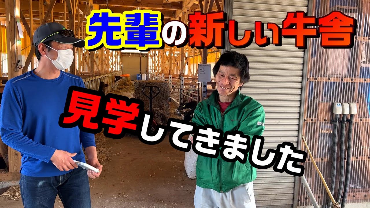 牛舎見学。糞尿でバイオガス発電や牛温恵も
