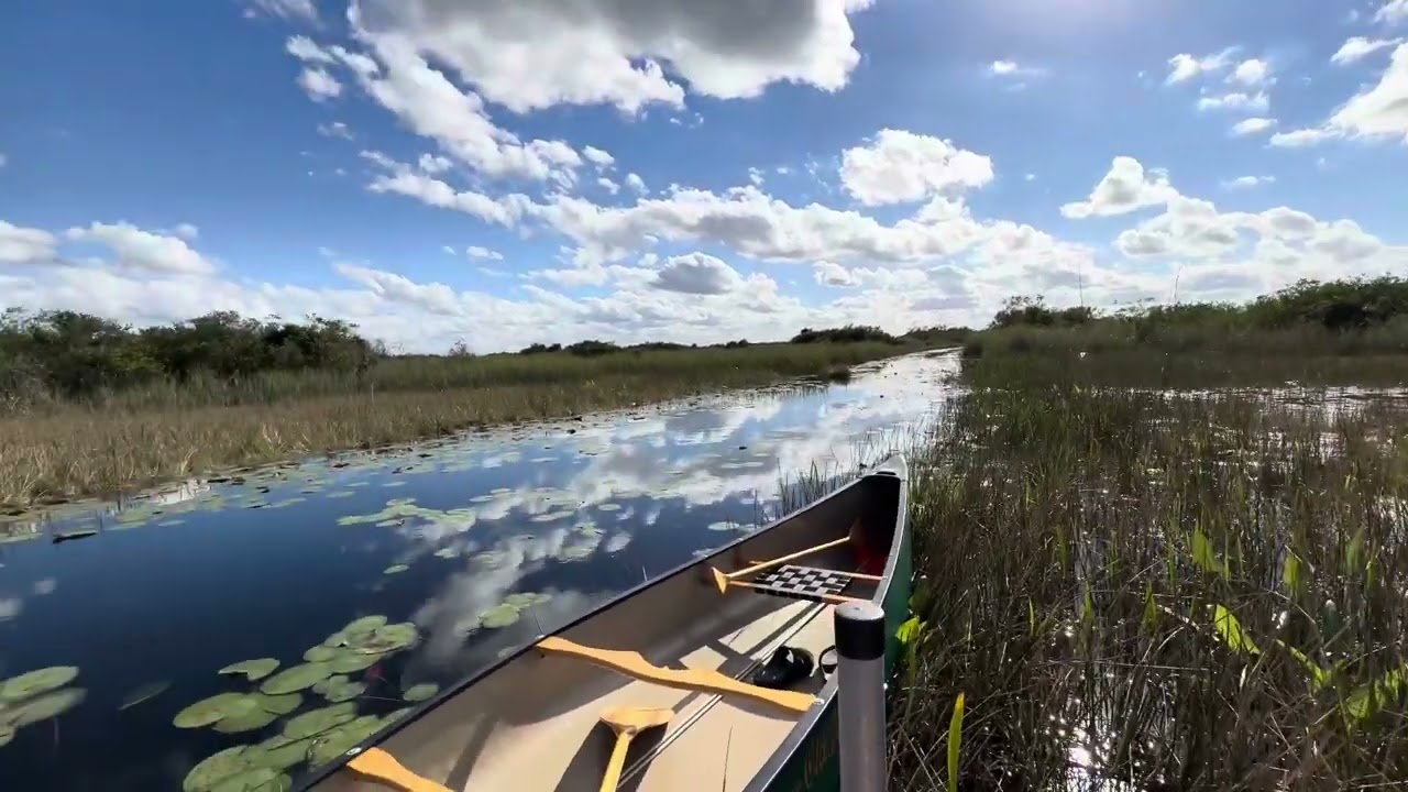 Canoeing at Arthur R Marshall Loxahatchee NWR