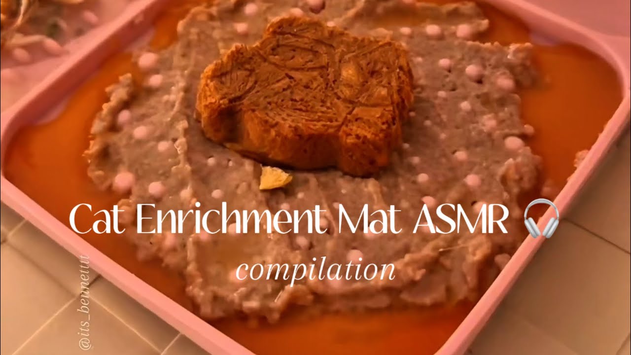 Relaxing Pet ASMR Compilation 🎧 Spoiling My Ragdoll Cat With Enrichment Mats 🐾