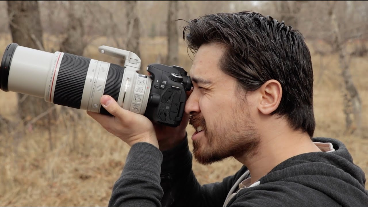Практические полевые испытания Canon EOS 80D