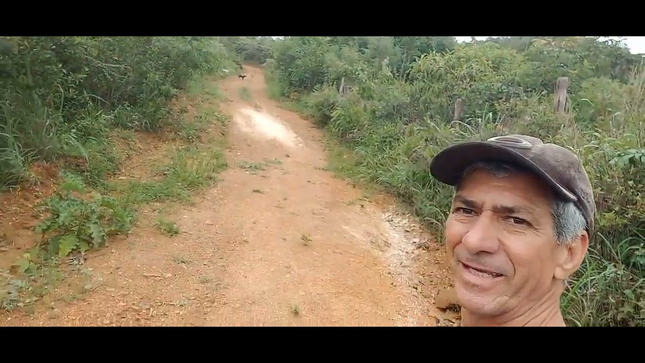 PRA QUEM GOSTA DE NATUREZA 
