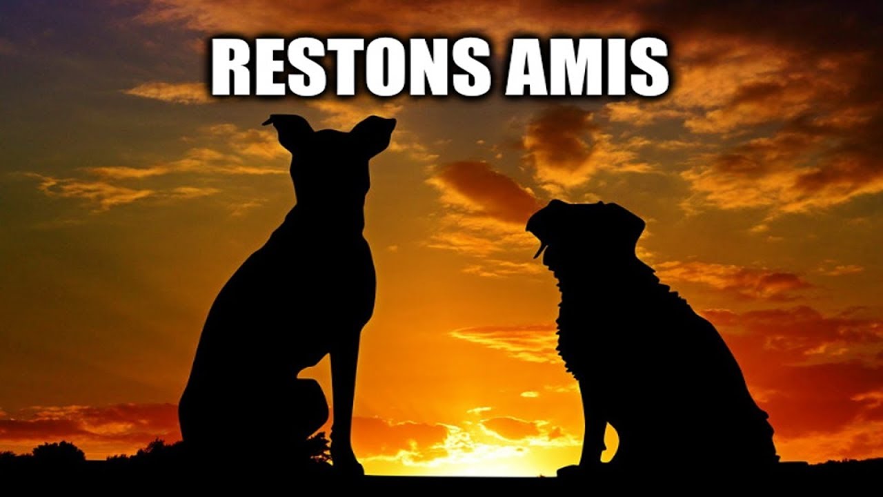 MON EX VEUT QU'ON RESTE AMIS : amour ou arnaque ?