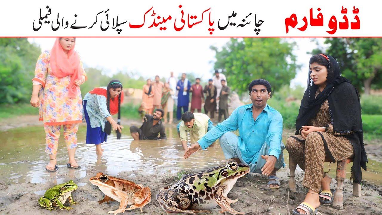 Frog Funny | Ramzi,Noori, Bilo ,Bhootna,Shoki, Sanam, Falak Sher,Funny Video  Rachnavi Tv
