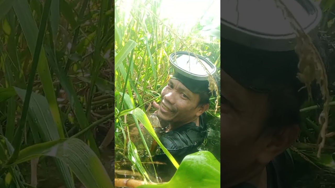 Paldo naman mga tropa.. 