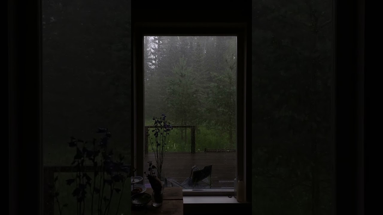 Relaxing Rain on Window for Deep Sleep 🌧️ Black Screen, Stress Relief & Insomnia