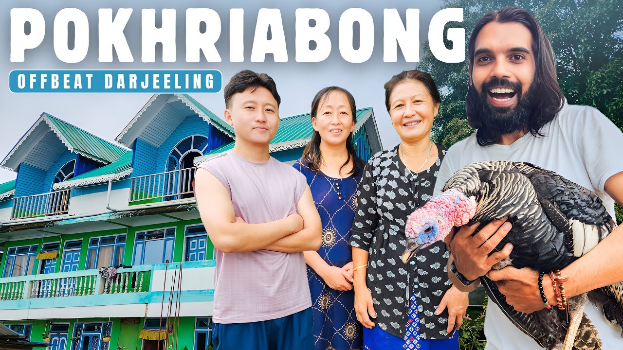 POKHRIABONG - Untouched Mountain In Darjeeling District | Avongrove Homestay | Offbeat North Bengal