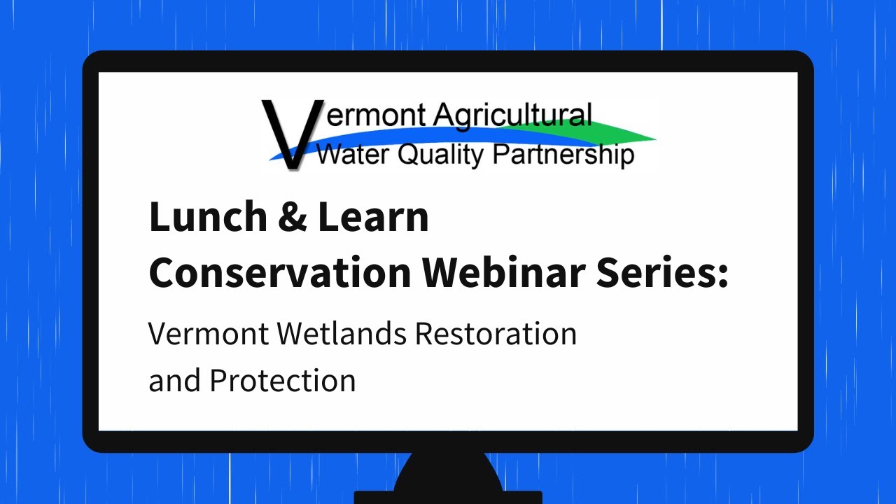 VAWQP Lunch & Learn Webinar: Vermont Wetlands Restoration and Protection