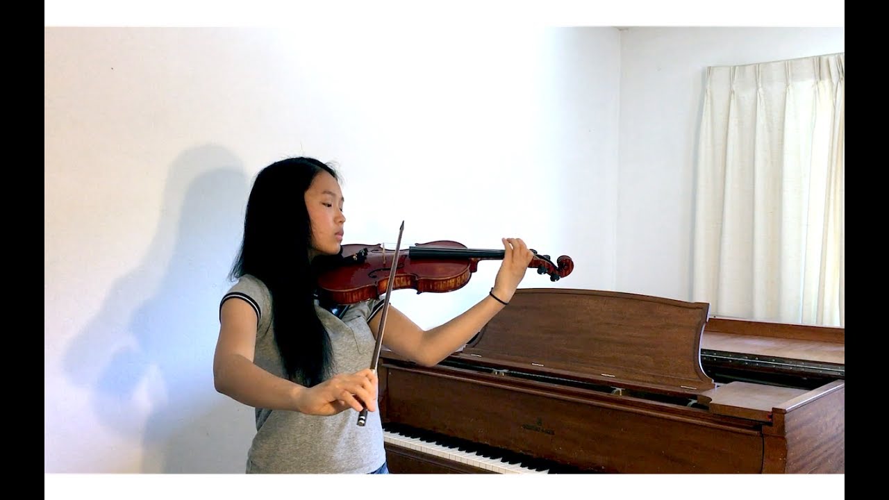Sia - To Be Human feat. Labrinth (Violin Cover)