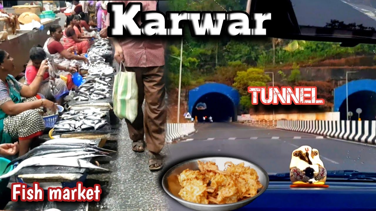 Went To See 😯 Karwar Tunnel | Visited Fish Market In Karwar #konkanivlog