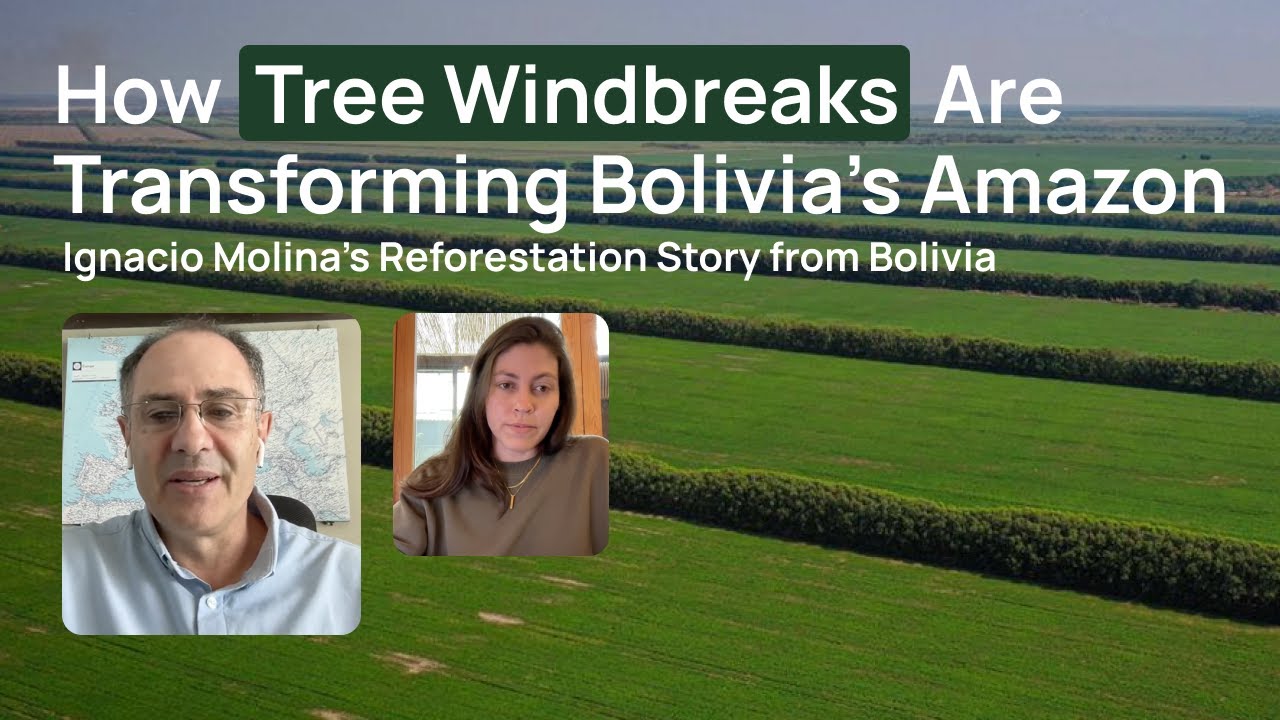 How Bolivian Trees helped send students to universities – Ignacio Molina’s Reforestation Story