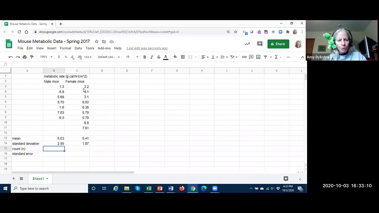 Using Google Sheets to calculate descriptive statistics