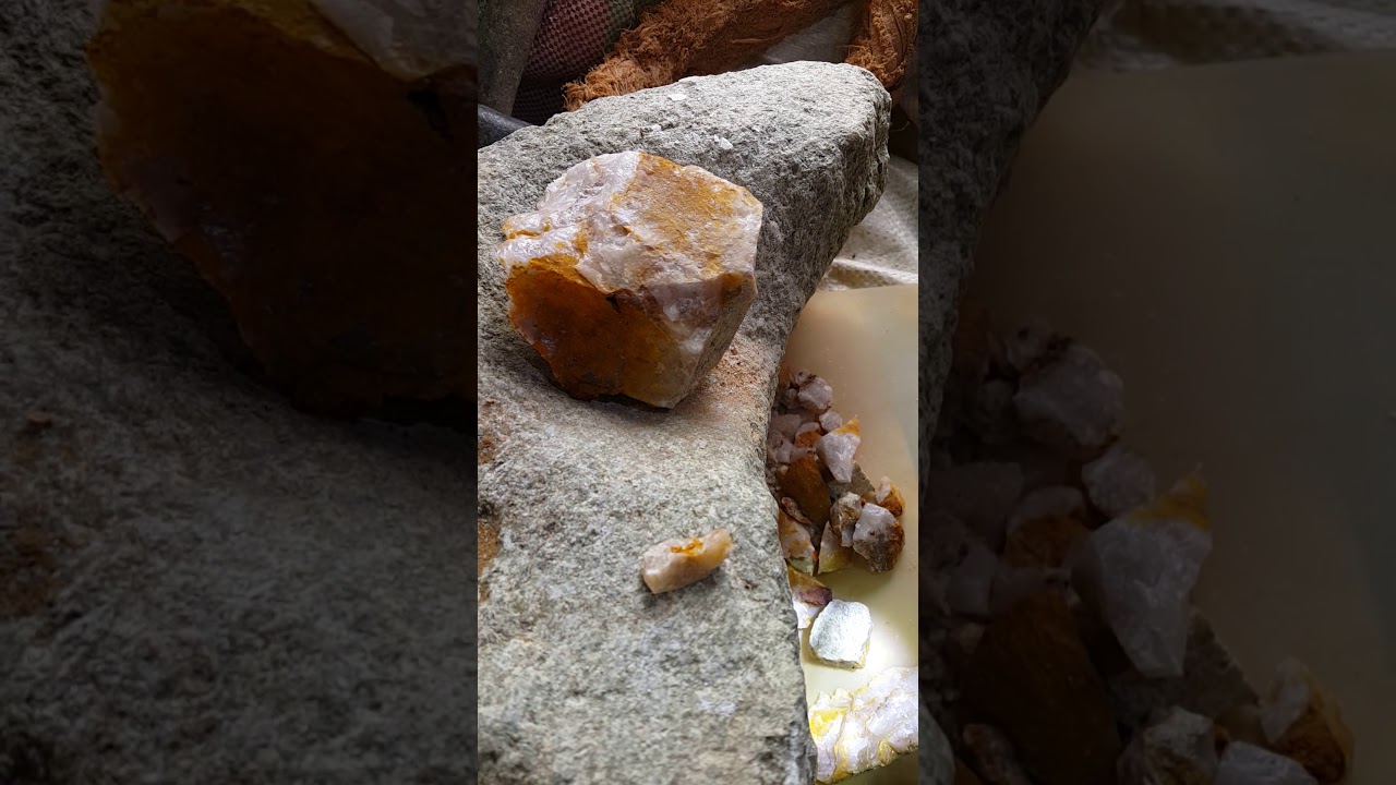 عروق الذهب 