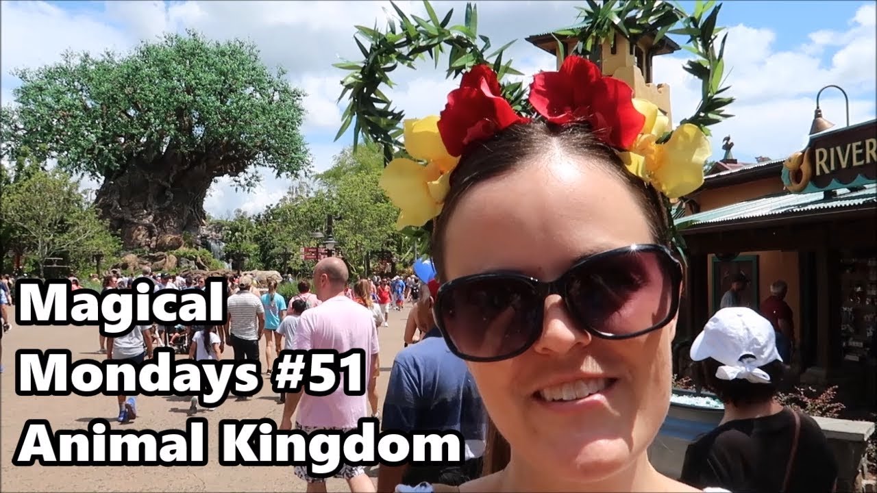 Magical Mondays #51 | Disney's Animal Kingdom Vlog - Riding Navi River Journey & More