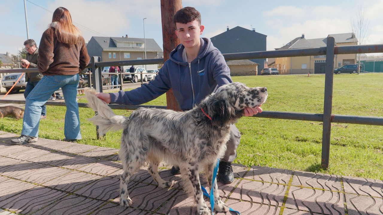 Camponaraya celebra la Feria de Perros de Caza con participación internacional