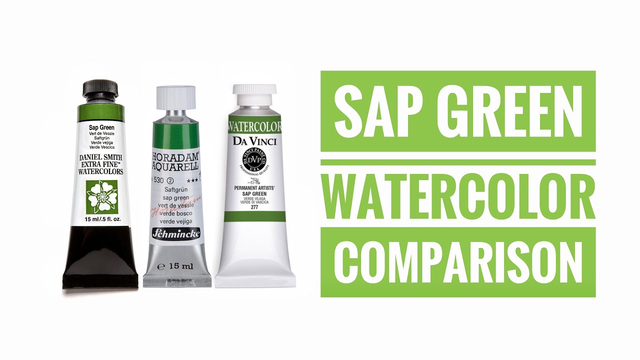 Сравнение акварелей Sap Green — Daniel Smith — Schmincke — Da Vinci