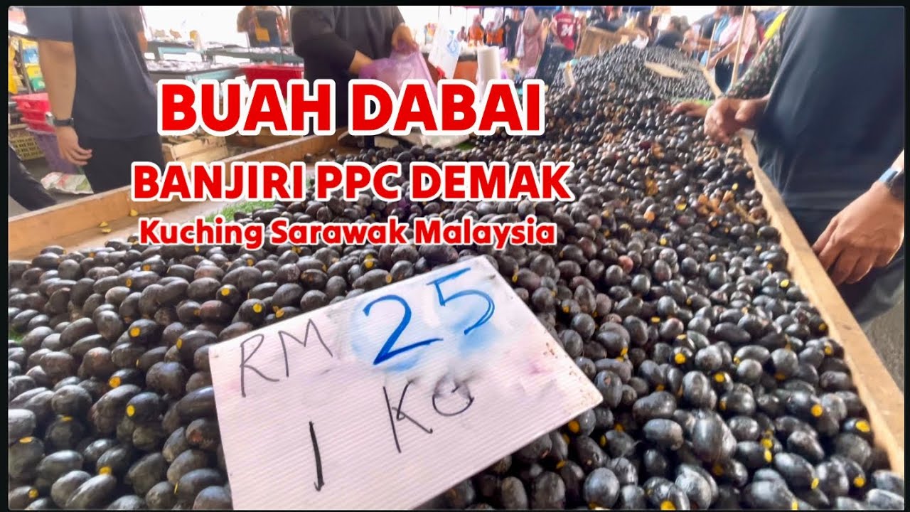 Buah Dabai banjiri PCC Demak, Kuching Sarawak Malaysia #2024