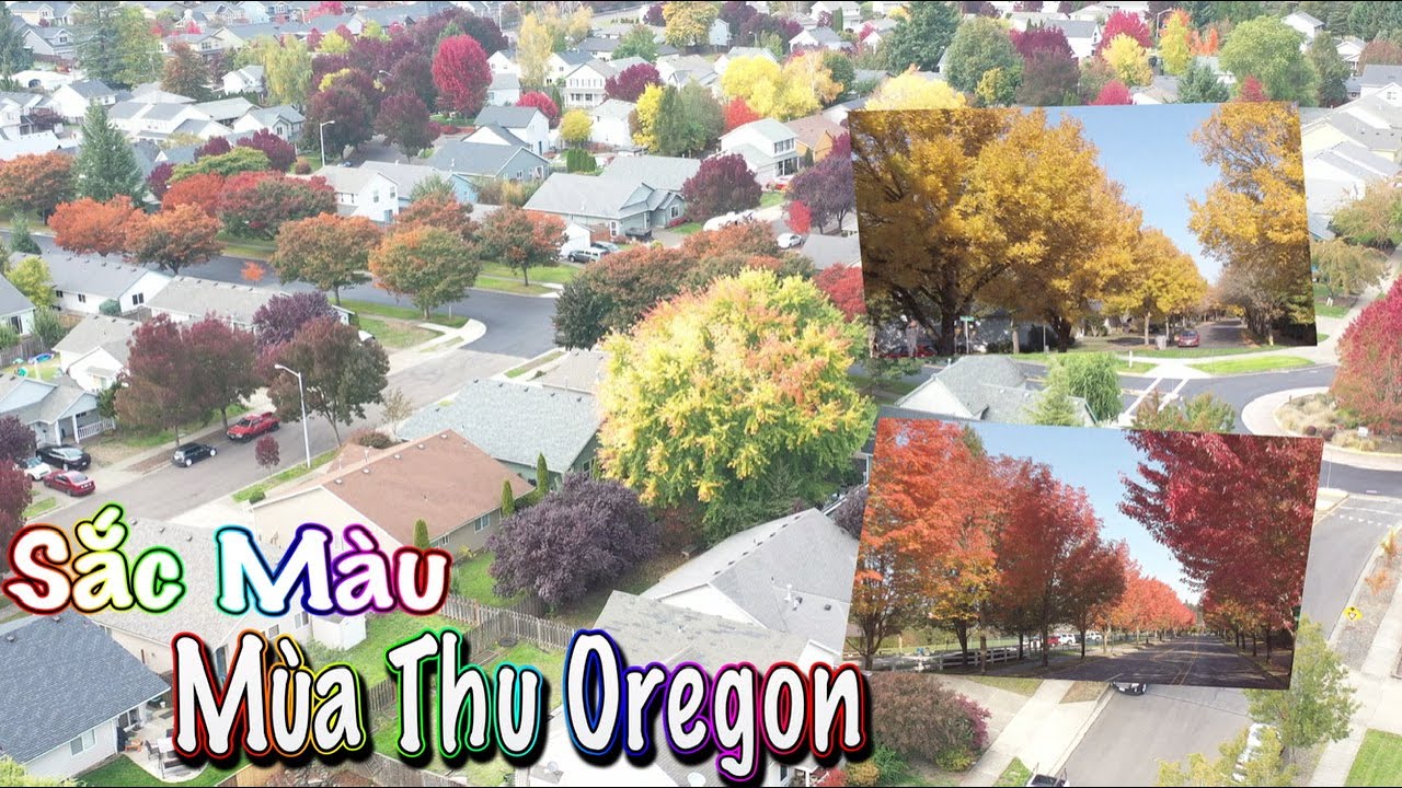 Sắc Màu Mùa Thu Oregon -Mùa Thu Quanh Xóm Nhỏ -Autumn & Relaxing- Fall Season In My Town-Vl190