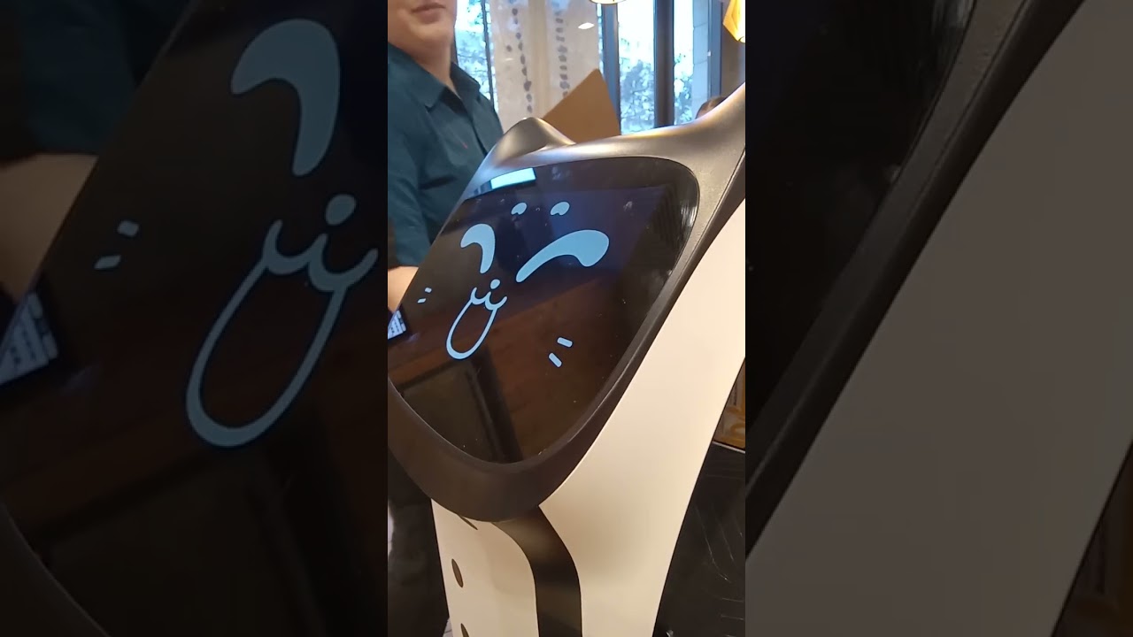 მაკდონალდსის კატა - Macdonalds Cat