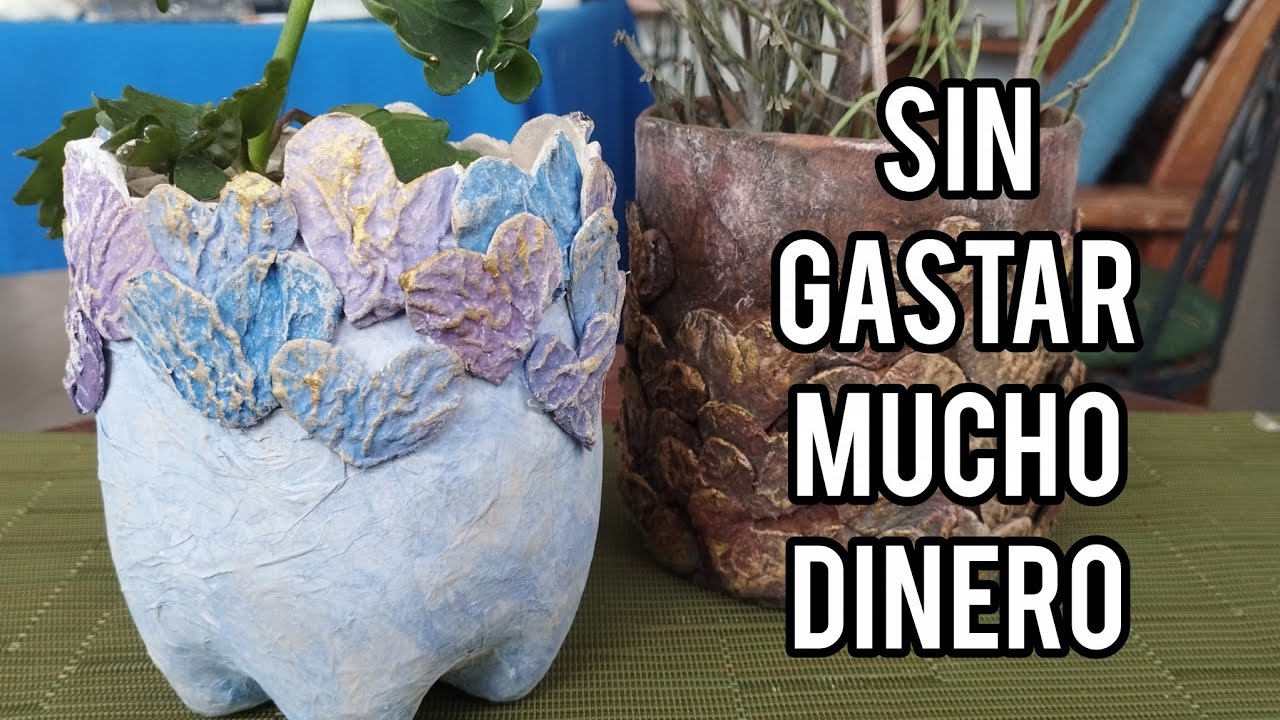 Recicla botella plástica y cartones de huevos ♻️