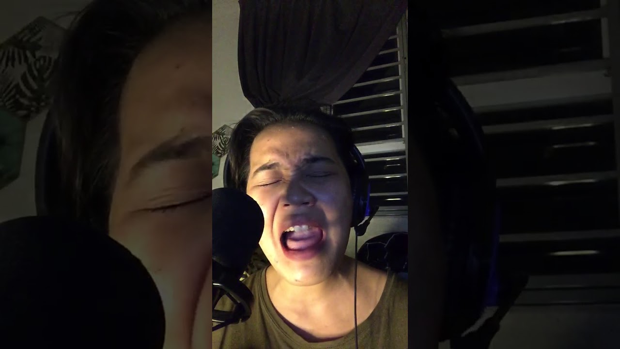 Sepi Sekuntum Mawar Merah by Eileen (cover song)