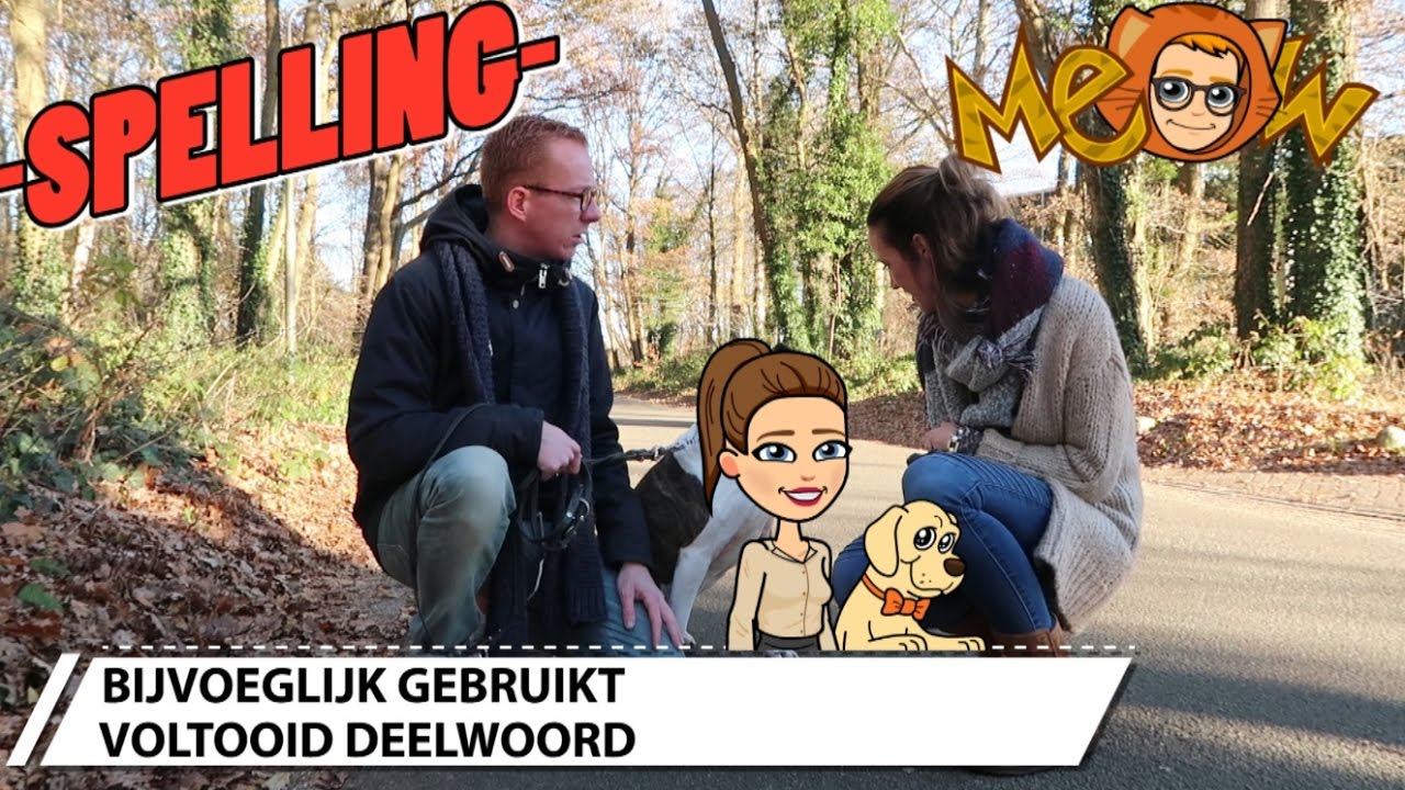 #7 Spelling; 'bijvoeglijk gebruikt voltooid deelwoord'