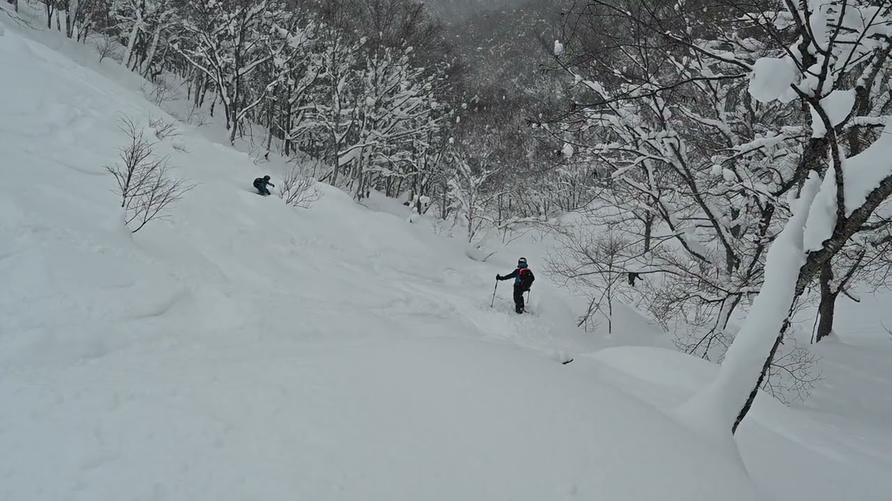 2026年2月1日大黒山