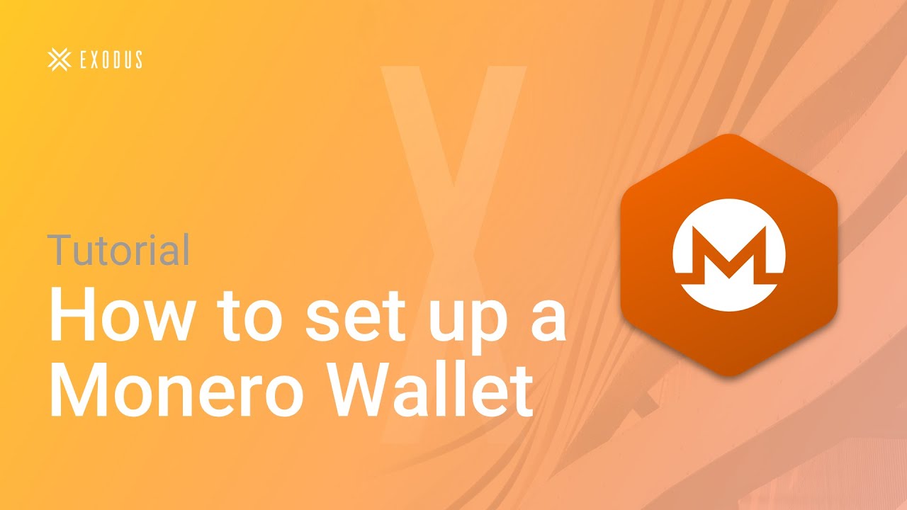 How to Set Up a Monero Wallet