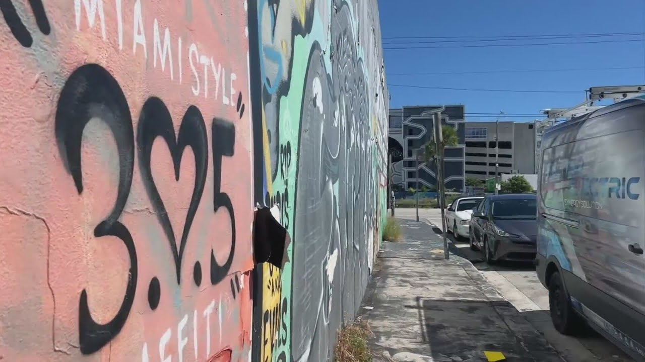 Wynwood brings development to Little San Juan