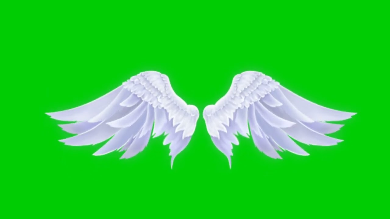 white wings green screen new hd 2022