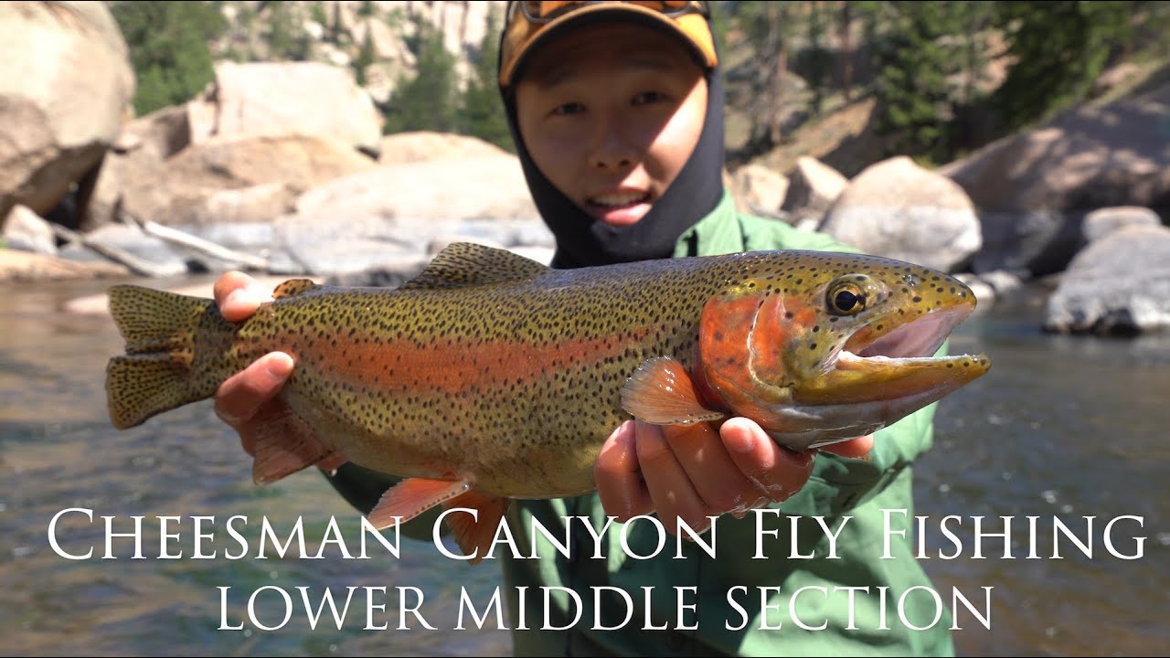 Beginner's Guide to Fly Fishing Cheesman Canyon, Colorado | Lower Middle Section | 4K Video