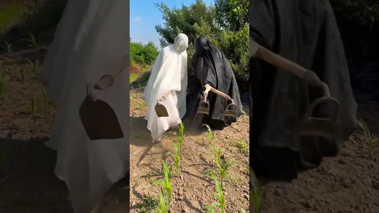 Ghost Farmers in the Field? 👻🌱 #Shorts