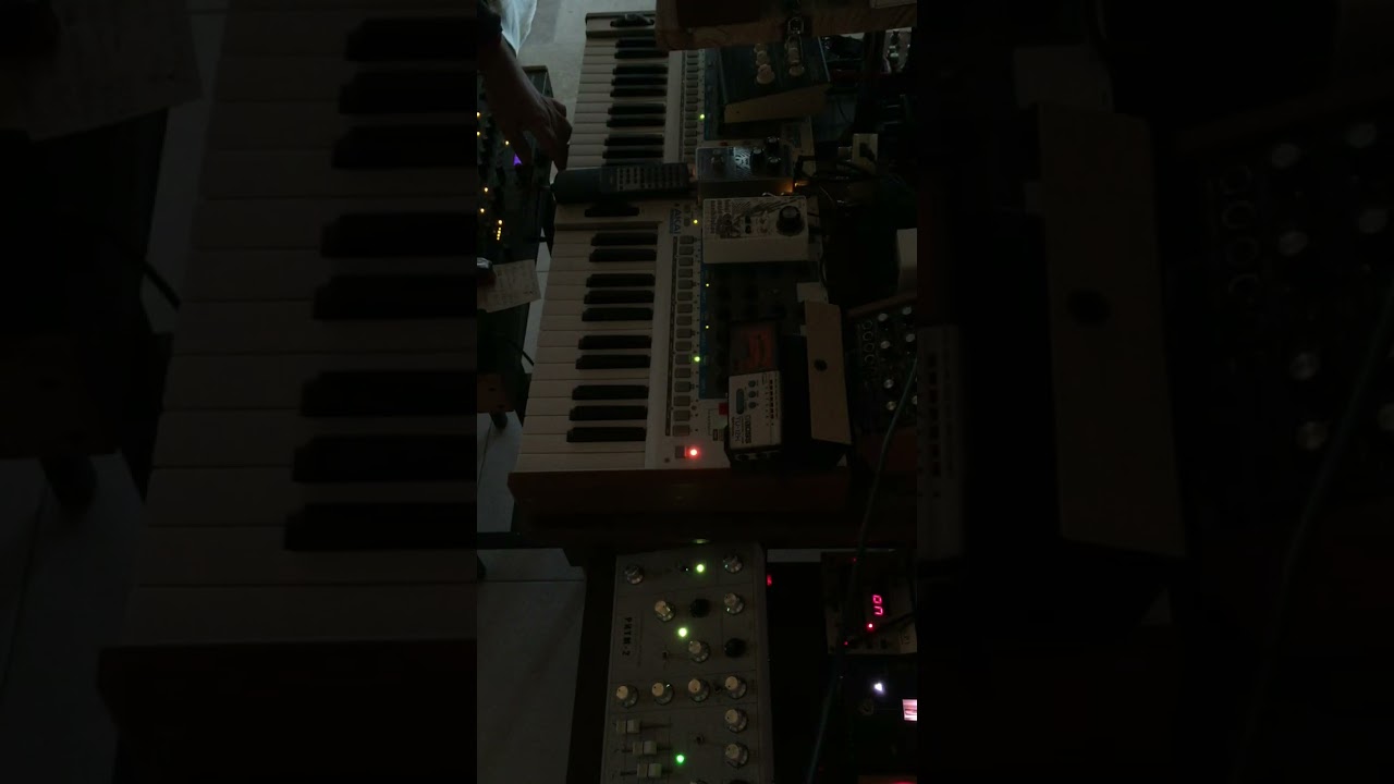 Nygorg Jam My/ Dark Energy - Ritm2- MoPhoX4 #electronicmusic #music #analogsynth #techno #akai