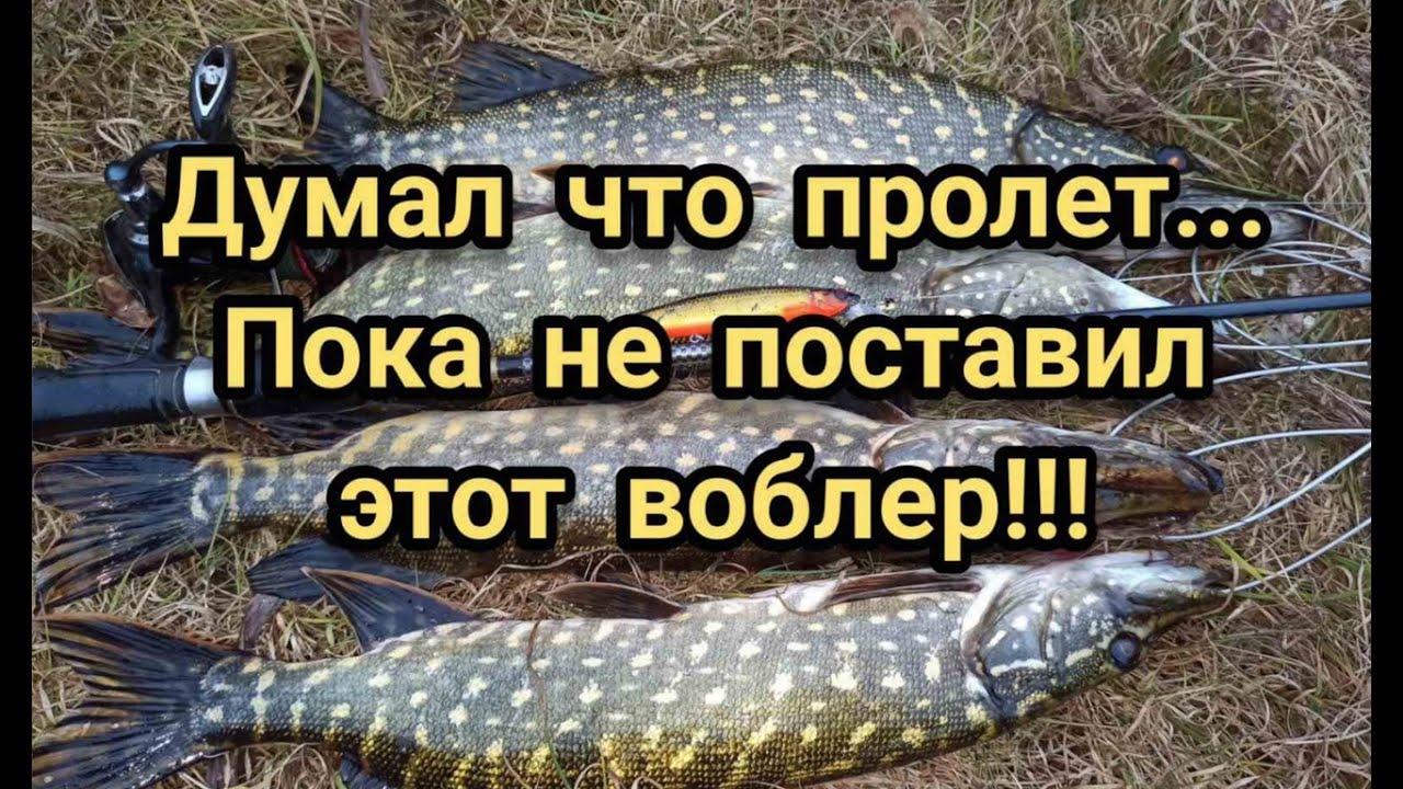 ДУМАЛ ЧТО ПРОЛЕТ... ПОКА НЕ ПОСТАВИЛ ВОБЛЕР PARTNER 110SP ОТ TsuYoki!!! ОБНОВКИ!!!