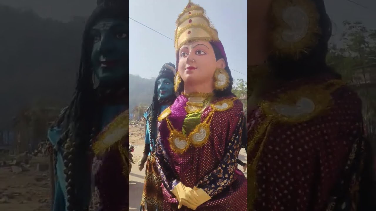 मकर संक्रांति के  शुभ अवसर पर माँ बम्लेश्वरी ट्रस्ट समिति द्वारा  निकली गई जुलस #maabamleshwari #sho