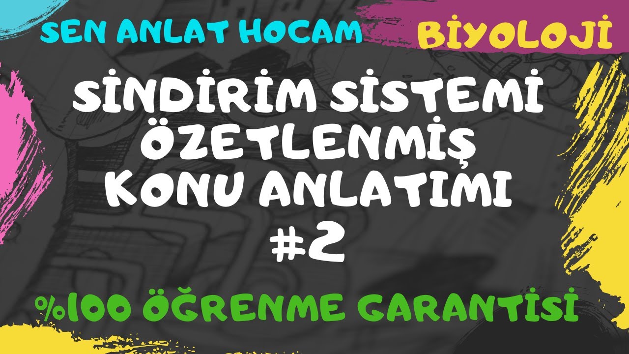 SİNDİRİM SİSTEMİ ÖZETLENMİŞ KONU ANLATIMI 2 | TEKRAR YAPMAK İSTEYENLERE  |  AYT BİYOLOJİ | ✅