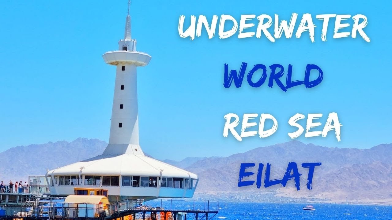 Eilat Exploring Underwater Life , Israel | 4k Vlog