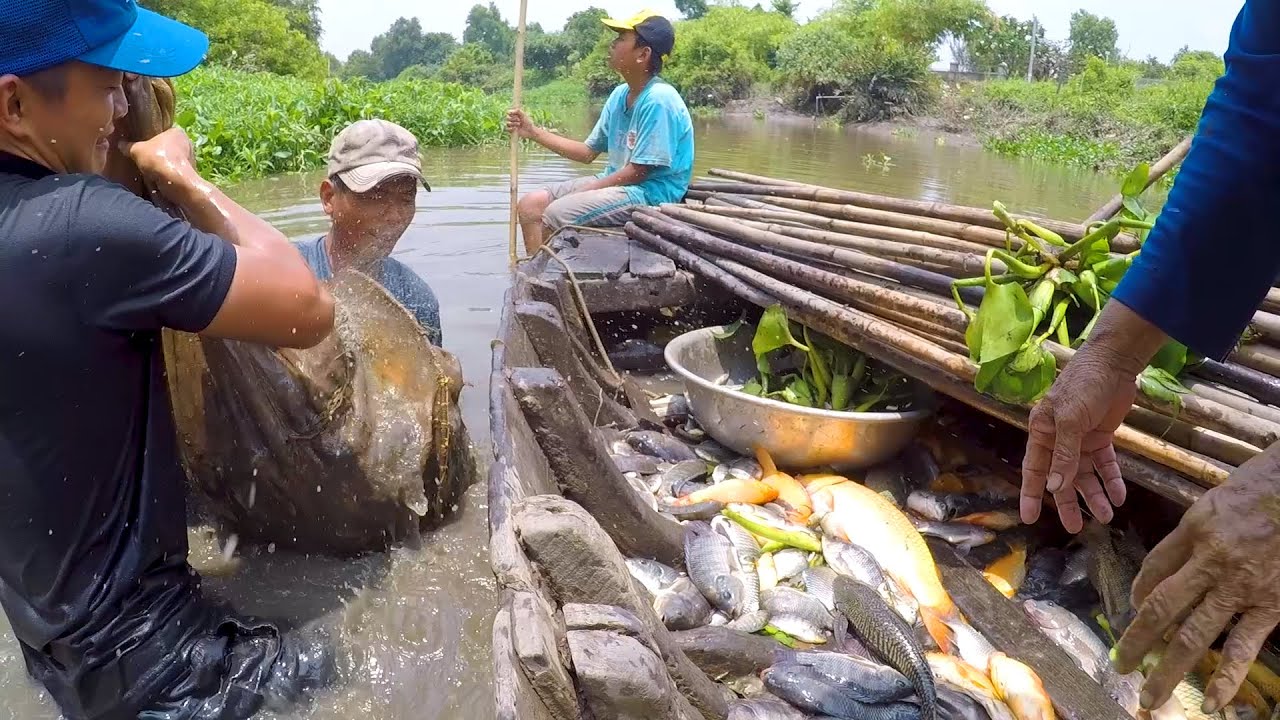 Dở Một Mẻ Lưới Kinh Hồn | Cá Bay Nhảy Tìm Đường Thoát Thân Như Mưa (Cái Kết Quá Đắng) | DSDD #151