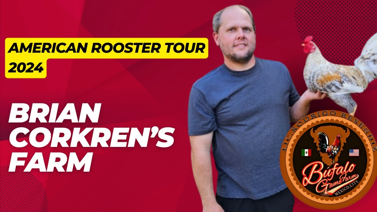 Bienvenidos al American Rooster Tour 2024 Brian Corkren's Farm✈️🚙🇺🇲🐓🐓🐓🐓🇲🇽🚙✈️