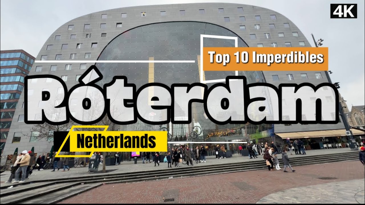 Así es Rotterdam. La ciudad más moderna de Holanda.