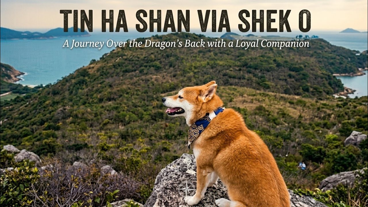 TIN HA SHAN || SPECIALL ( Solo HIKING).., PENDEK NANJAK BANGETT...