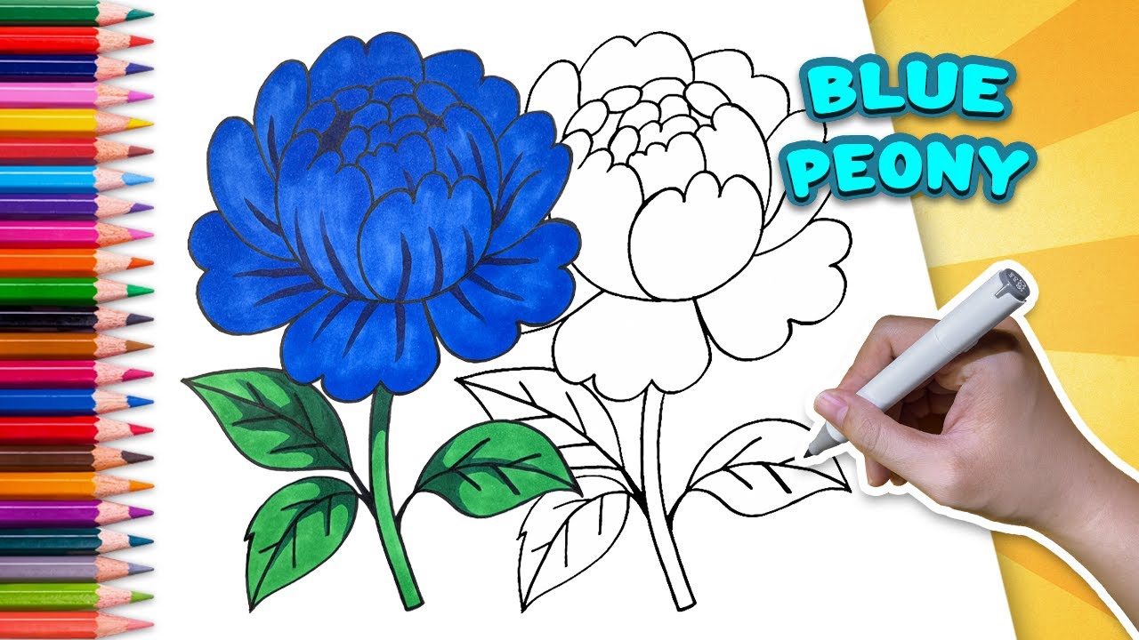 How to Draw a Blue Peony | Step by Step Tutorial