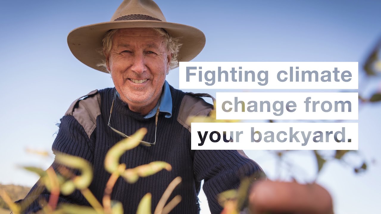 Climate Future Plots