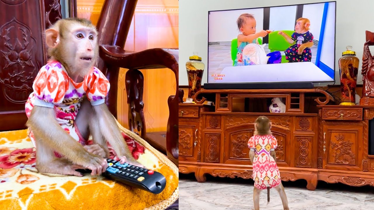 Monkey Kaka was happy to see her mom and Diem appear on TV