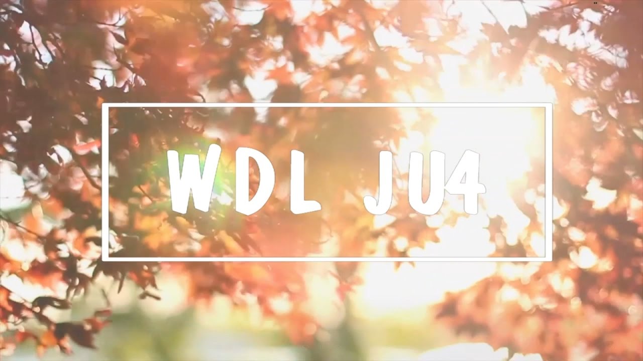 WDL JU4 2016 - Freizeitvideo